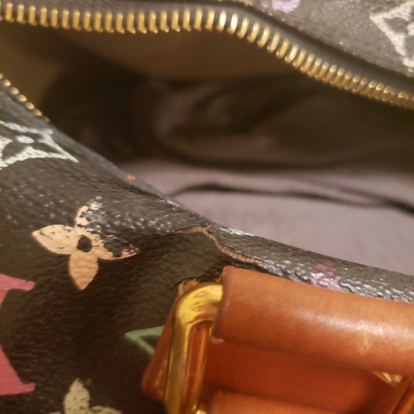 SOLD LOUIS VUITTON Multicolor Speedy Bag Authentic - Picture 8 of 14